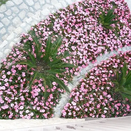 Casa Brenzone sul Garda