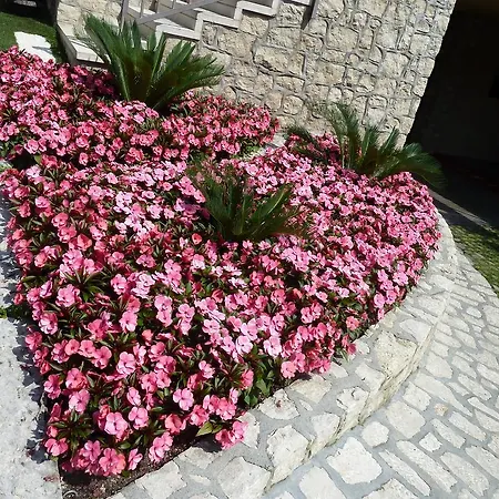 Hotel Casa